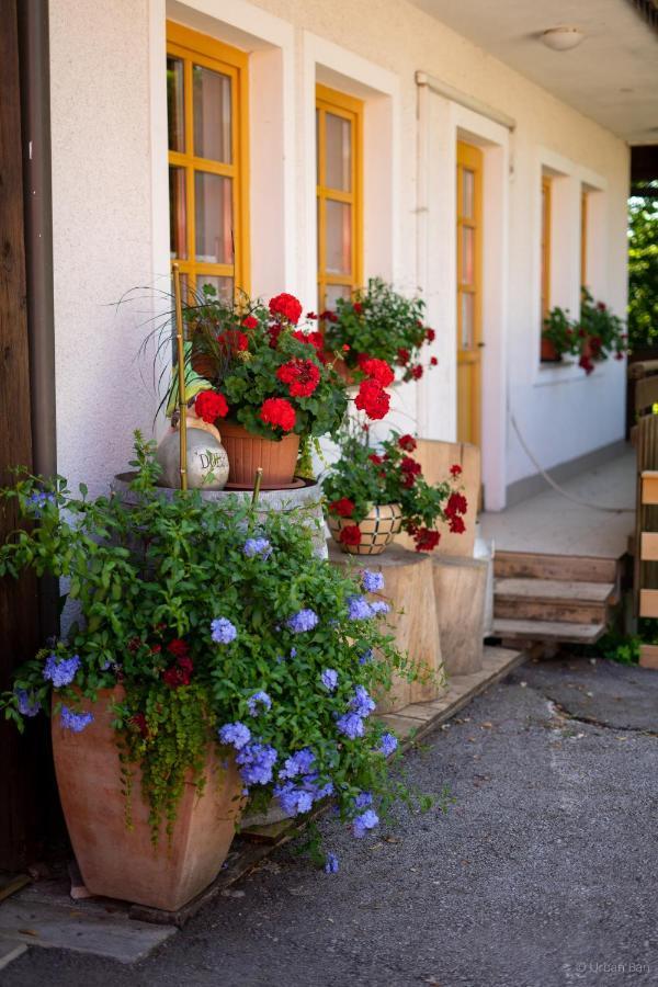 Hotel Gostilna Logar Hotemaze Esterno foto